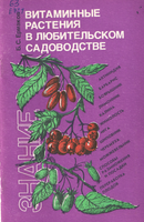 Ермаков