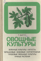 Бигс 1